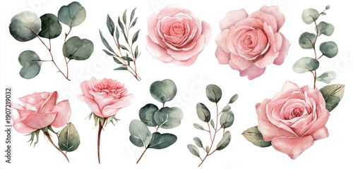 Watercolor arrangement with pink roses and green eucalyptus leaves on a white background