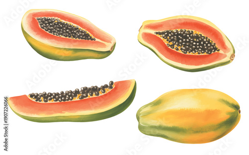 Hand painted watercolor papaya fruit with sliced pieces isolated on white background.
