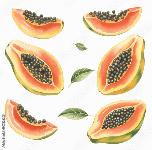 Watercolor papaya composition with ripe tropical fruit pieces isolated on white background.