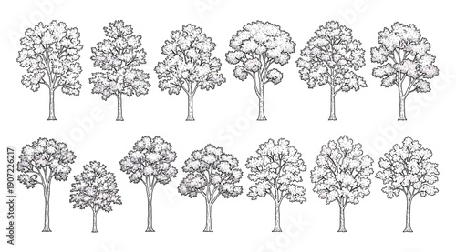 "Set of twelve black and white tree illustrations arranged in two rows, each with distinct foliage, canopy, and trunk variations, abstract botanical artwork for puzzles, pattern recognition, and creat