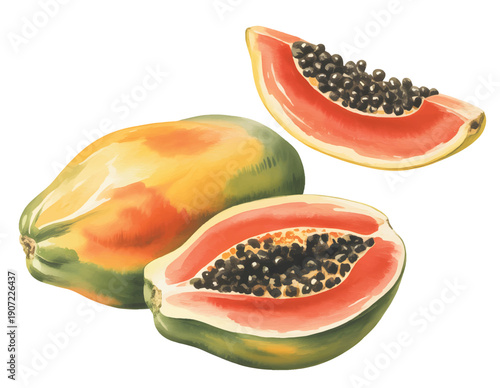 Fresh tropical papaya fruit with cut wedges painted in soft botanical watercolor.