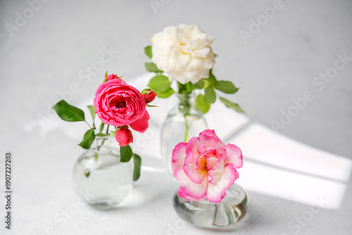 Three roses in glass vases with soft light and shadows