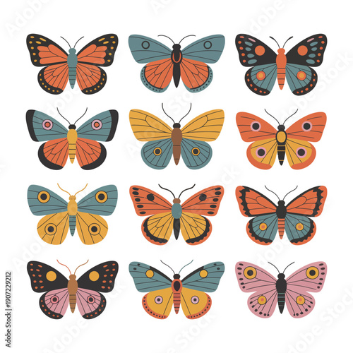 A colorful illustration of various butterflies and moths in different patterns and hues on a white background.