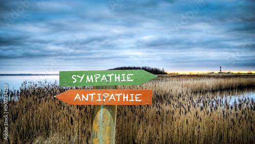 Quadro em tela Signposts the direct way to sympathy versus antipathy