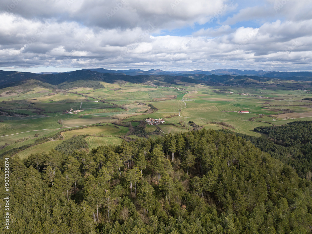 Fototapeta premium Pine forest and cultivated fields in winter. Azpa, Egüés Valley. Navarre 