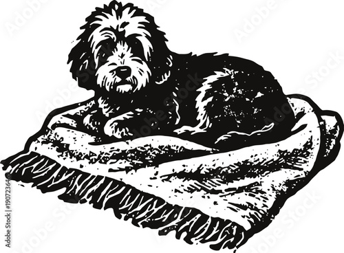 Small dog lying on cozy blanket resting comfortably at home