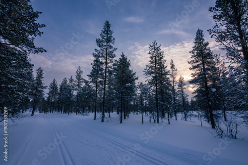 Tableau sur toile Cross-country skier gliding through the pristine snowy trails of Urho Kekkonen N