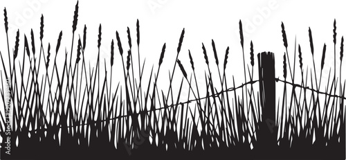 Illustration of silhouette of tall grass and fence post against white background