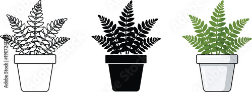 Collection of potted fern illustrations in outline silhouette and color perfect for botanical design and home decor concepts