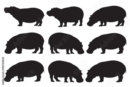 A collection of nine detailed black silhouette illustrations of hippopotamuses in various natural poses, showcasing their distinct form and features