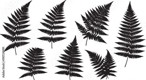 Wild Fern Plant Elements for Forest Floor Scenes