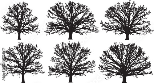 Black Solid Winter Bare Oak Tree Silhouettes Set of Six on White Background