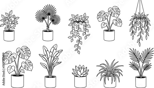 Vector set of minimalist indoor plant icons, hand drawn line art of potted house plants, botanical home decor elements isolated,