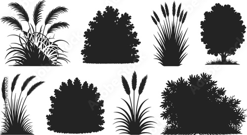 Decorative plant silhouettes set, bushes grasses shrubs trees, black botanical foliage isolated on white background, nature vector illustration