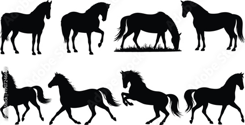Horse silhouettes set, black horse poses collection, running grazing standing horses isolated on white background, animal vector illustration