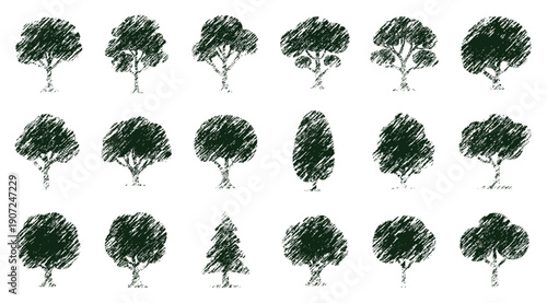 Collection of sketched trees in varying shapes and sizes arranged closely high-quality professional detailed modern elegant landscape nature illustration set