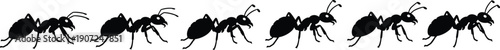Set of 7 ant silhouette icons arranged in horizontal line with segmented bodies, legs, and antennae walking in formation 