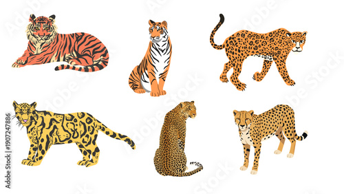 Vector Illustration Set of Wild Big Cats Including Tigers, Leopards, Cheetah, and Jaguar Isolated on White