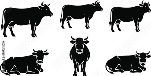 Set of 6 cow silhouette icons showing standing, resting, and forward-facing poses with horns, tails, and udders visible