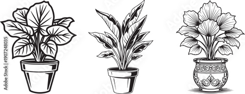 Potted Houseplants Set – Black and White Botanical Line Art. Hand Drawn Potted Houseplants Collection with Succulents, Cactus, Herbs and Indoor Plants Line Art Vector