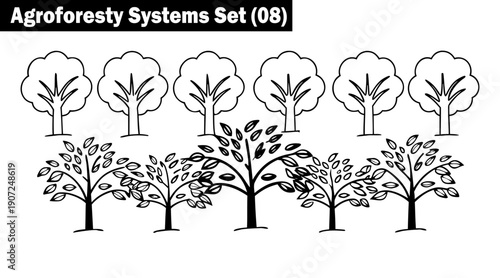 Agroforestry forest garden layout with multi layered tree canopy rows in line art style for permaculture design and sustainable farming systems on transparent background vector vector illustration.