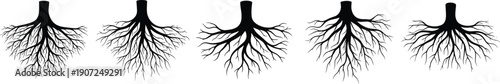 Set of 5 tree root silhouette icons showing branching complexity from dense intricate systems to simple minimal root structures