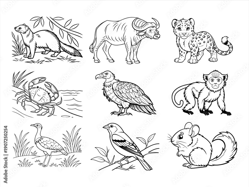 Obraz premium coloring page line art the animal bird and flower black vector bundle