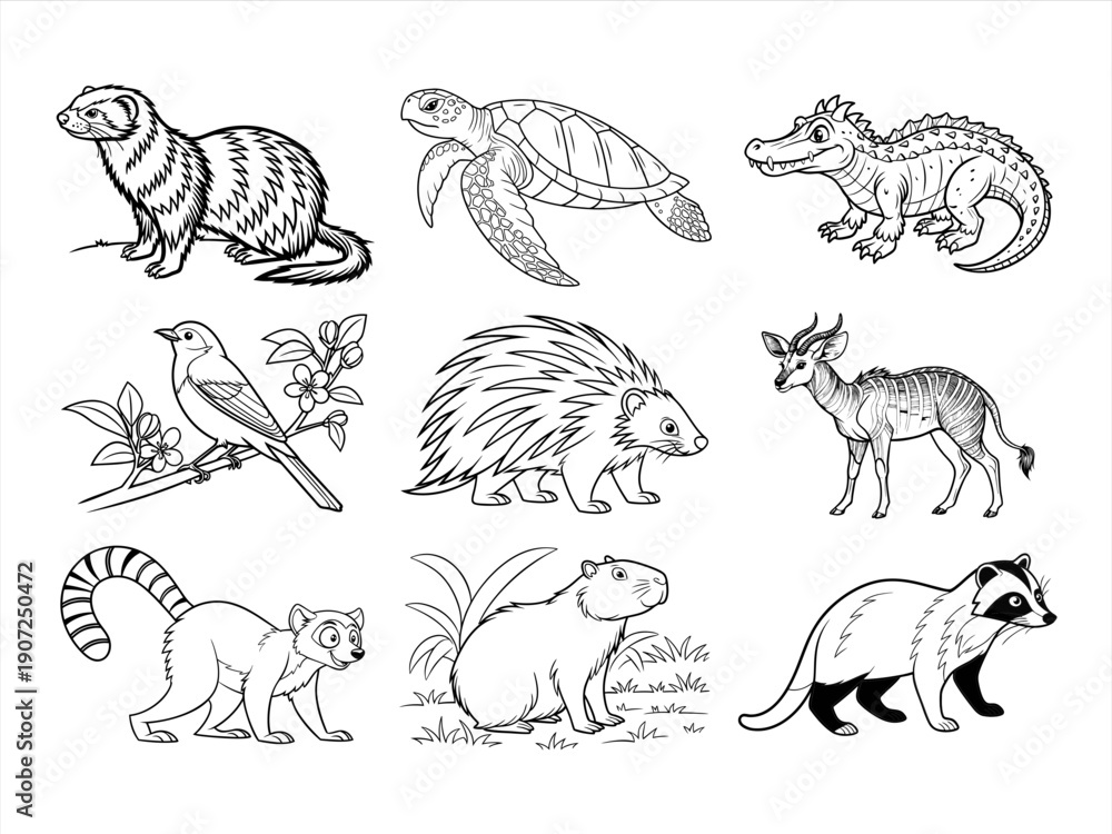 Fototapeta premium coloring page line art the animal bird and flower black vector bundle