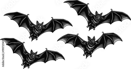Flying bat illustration set, gothic nocturnal animals, detailed black and white engraving style, spooky wildlife vector, halloween design, elements, collection