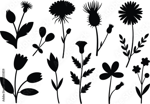 Flower silhouettes illustration with diverse floral shapes, rounded petals, spiky forms, leaf arrangements, black and white artwork, botanical design concept