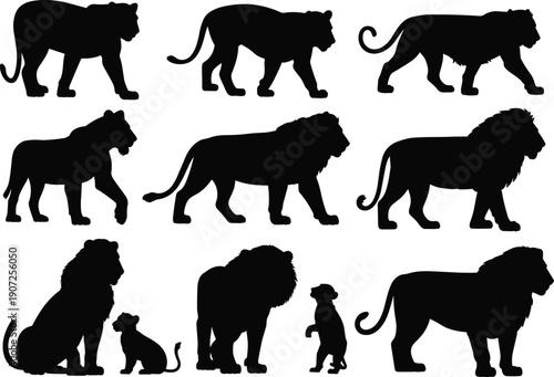 Lion and tiger silhouettes illustration with walking, seated, cub poses, black and white artwork, wildlife, animal, nature, big cat design concept