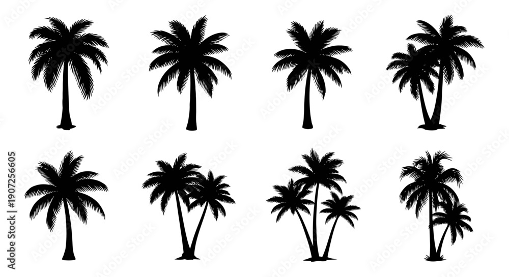 Fototapeta premium Silhouette collection of various tropical palm trees against a white background