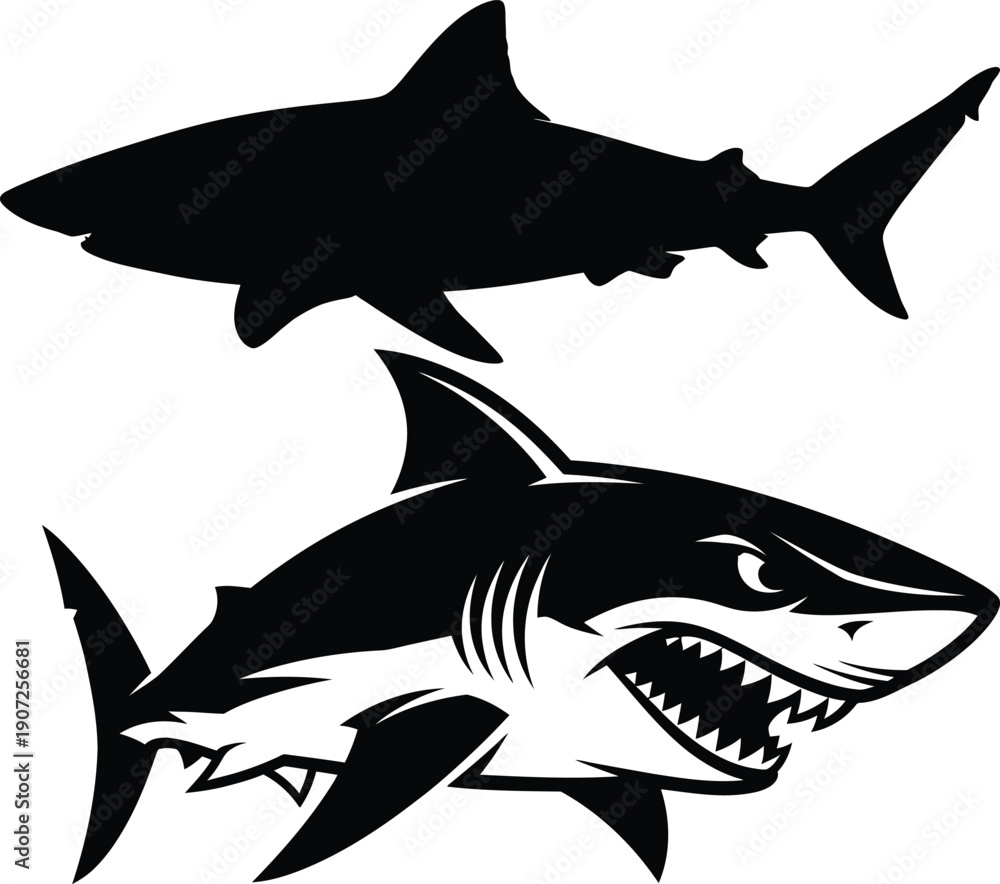Fototapeta premium Shark silhouette and angry shark illustration