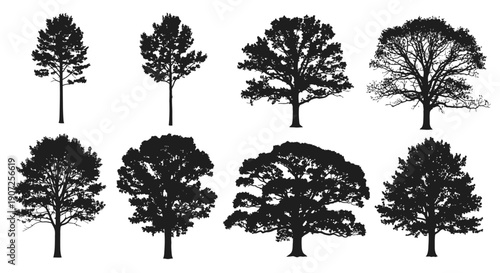 Silhouettes of various tree types against a white background