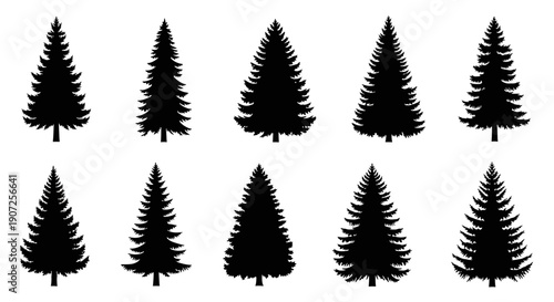 Collection of silhouetted evergreen trees in various shapes and sizes