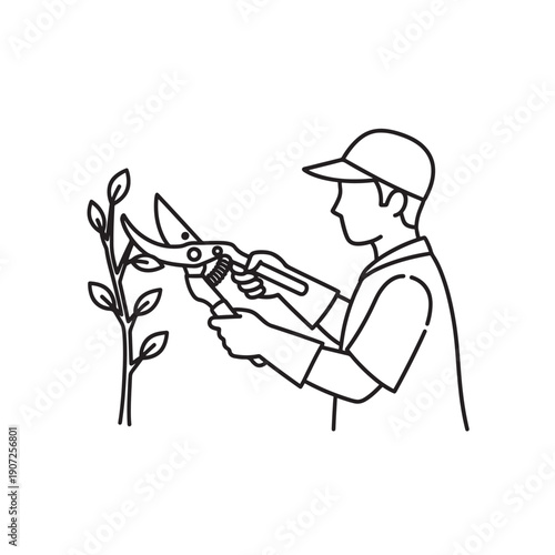 Man in cap pruning plant with large shears isolated on transparent background