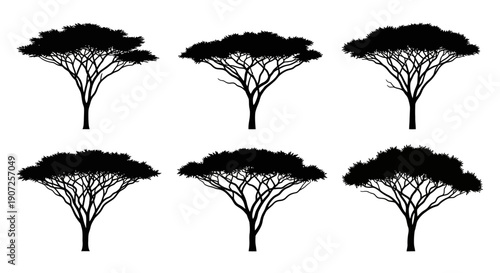 Silhouette collection of acacia trees in a simple graphic style