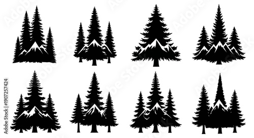 A collection of stylized black silhouettes depicting coniferous evergreen trees