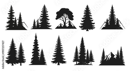Silhouettes of various coniferous and deciduous trees against a white background