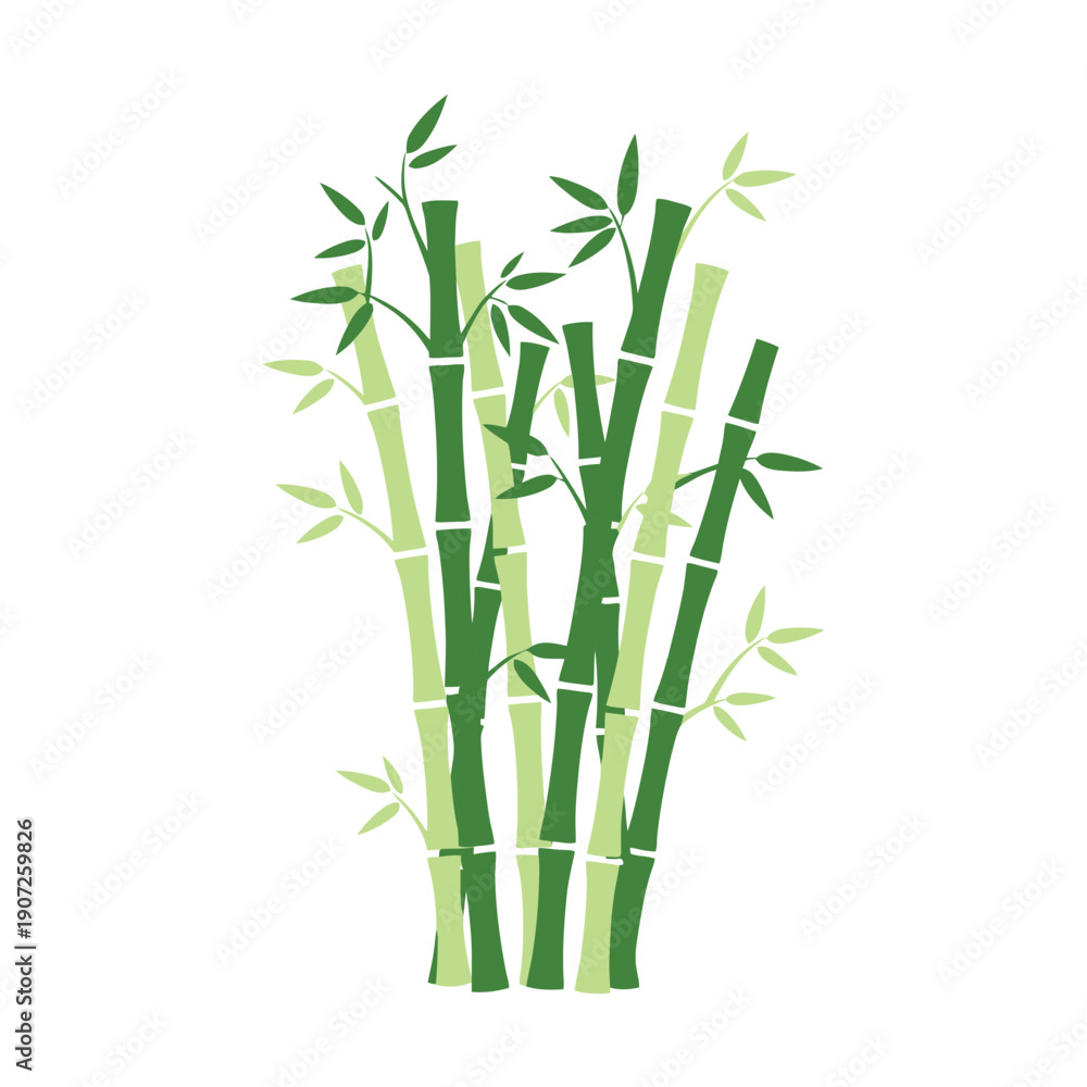 Obraz premium Green bamboo stalks and leaves illustration. Zen-style nature graphic representing growth, sustainability, and Asian influence.