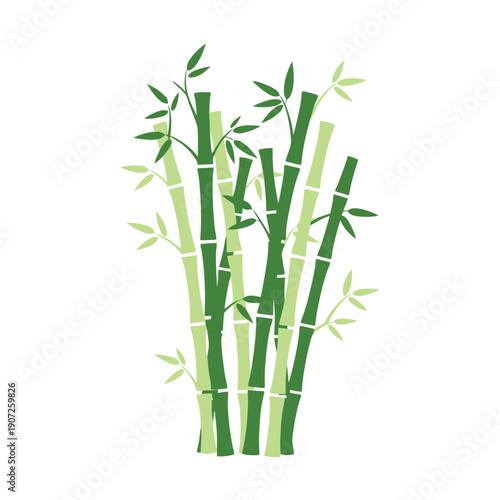 Green bamboo stalks and leaves illustration. Zen-style nature graphic representing growth, sustainability, and Asian influence.