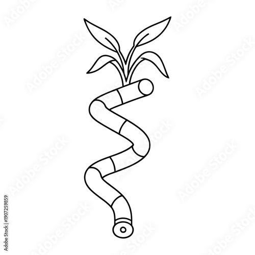 Minimalist line art of a spiral lucky bamboo stalk. Clean black and white outline for botanical logos, icons, or coloring projects.