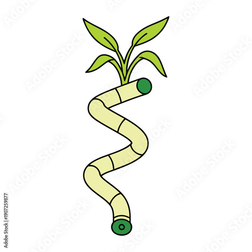 Stylized spiral bamboo stalk with bright green leaves. Playful flat illustration representing good luck, house plants, and growth.