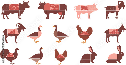 Farm Animal Meat Cut Diagram Illustration Set with Cow Pig Goat Chicken Duck Turkey and Rabbit for Butcher Charts and Vector Designs
