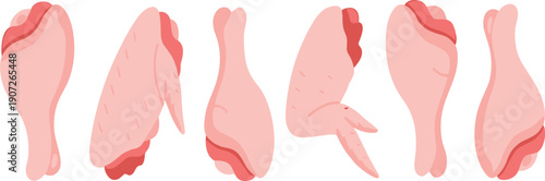 Cartoon Chicken Drumstick and Wing Illustration Set with Raw Poultry Meat Pieces in Multiple Angles for Food Packaging and Vector Designs