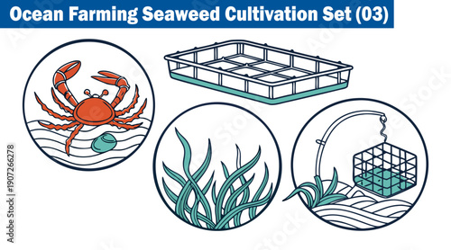 Ocean farming seaweed cultivation set three, aquaculture collection with a crab, seaweed plants, and fishing gear for marine harvesting industry vector illustration.