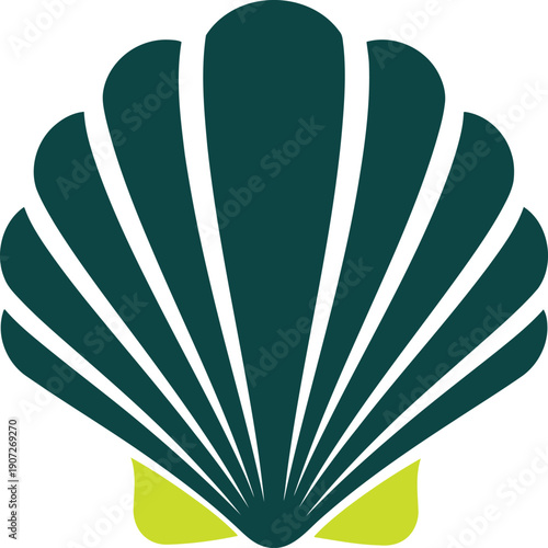 A stylized graphic of a seashell with a modern and minimalist design aesthetic Vector