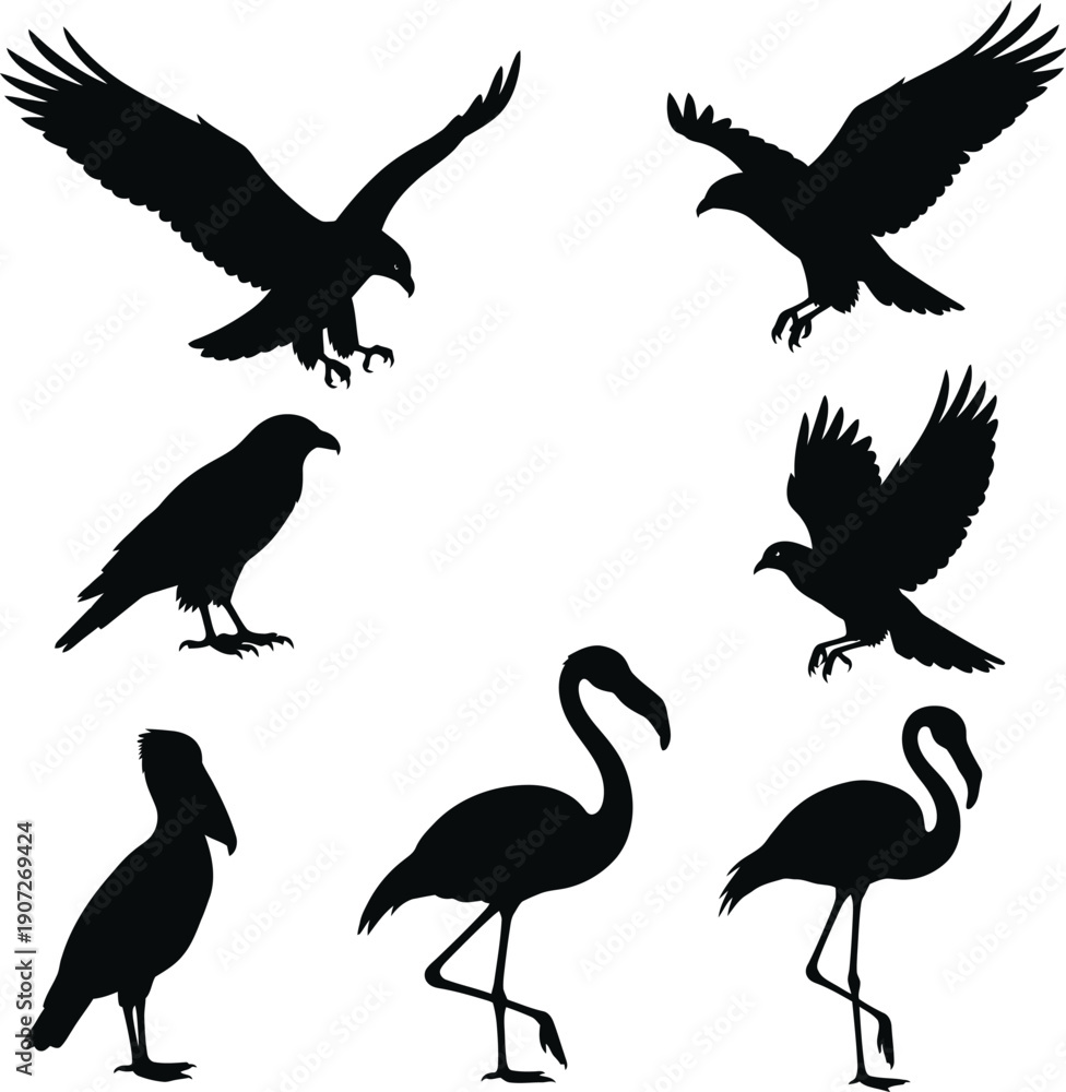 Fototapeta premium set of silhouettes of birds