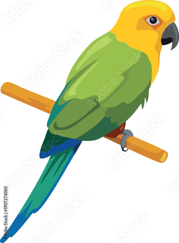 Parakeet sit. Colorful feather parrot cartoon icon