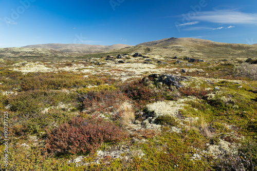 Mountain landscape in the Dovrefjell nationalpark in Norway
